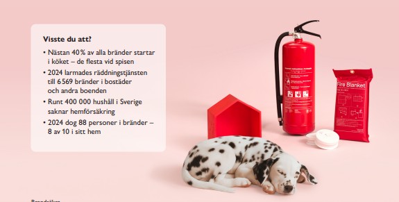 Bildtext saknas